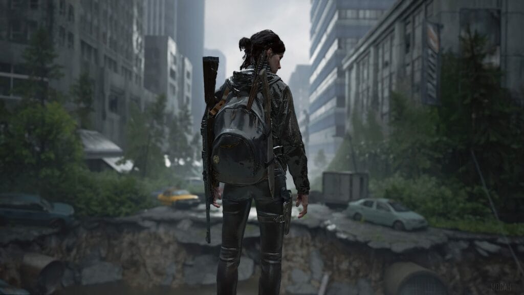 The Last of Us 4