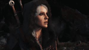 the witcher 1