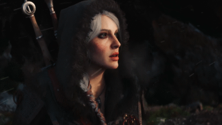 the witcher 1